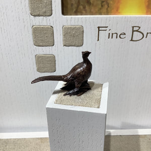 Miniature Bronze Pheasant