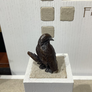 Miniature Bronze Kingfisher